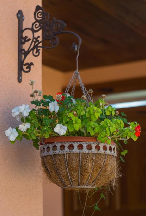Apartamento Kuca Za Odmor Poppke Fericanci Exterior foto